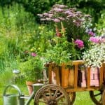 Градинската количка пълна с цветя