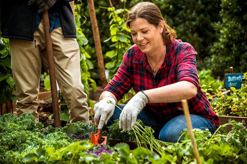 woman farmer gardening at countryside 2023 11 27 04 59 41 utc